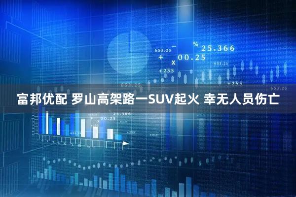 富邦优配 罗山高架路一SUV起火 幸无人员伤亡