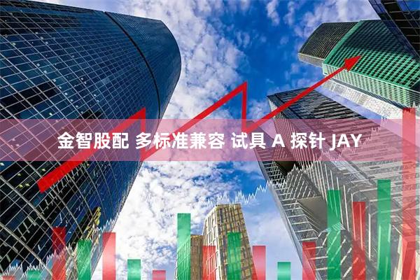 金智股配 多标准兼容 试具 A 探针 JAY
